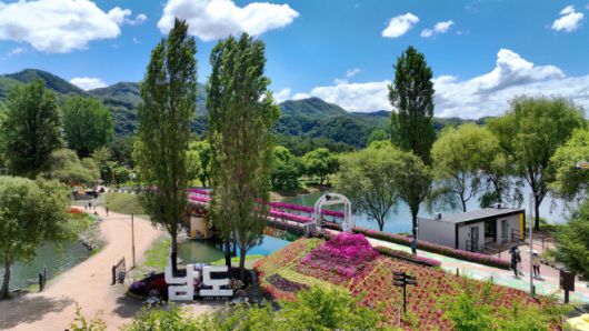 경기도를 대표하는 관광 축제인 '자라섬 꽃 페스타'가 24일부터 6월 15일까지 가평군 자라섬 남도에서 열린다.사진은 지난해 축제장 모습. /가평군