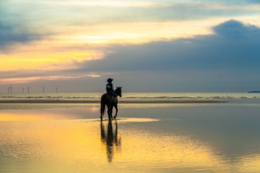 고창 휘게팜 해변 승마 체험. / 한국관광공사 제공