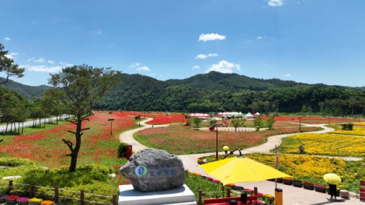 청송군은 치유와 감동을 선사하는 공간으로 산소카페 청송정원을 조성했다./청송군