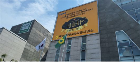 제주남원농협유통사업소, 여기서 첨단과학을 이용해 귤을 선별한다. 당도에 따라 스위트골드, 프라임, 클래식으로 선별해 출하한다./부두완 기자