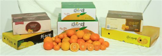 제주남원농협의 감귤브랜드 곱들락 상품./제주 남원농협