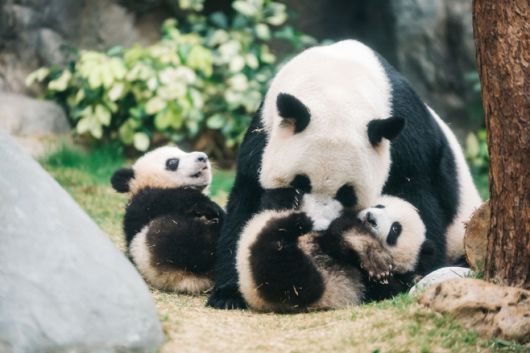 오션파크. / 홍콩관광청 제공