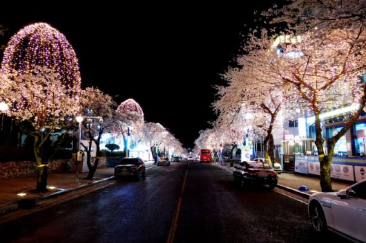 부곡온천 빛거리 야경, 빛거리와 황토길은 사계절 즐길거리를 제공하며 휴식과 재충전의 공간으로 자리매김 하고 있다.  /창녕군