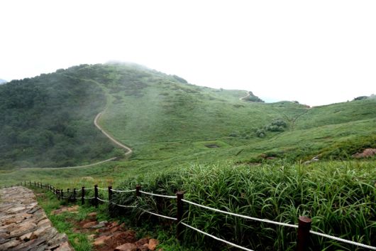 사계절 아름다운 화욍산 군립공원 … 전국 100대 명산 중 하나인 화왕산(화왕산성) 전경