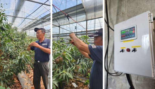 애플망고를 설명하고 있는 송성진대표와 개발중인 컨트롤박스