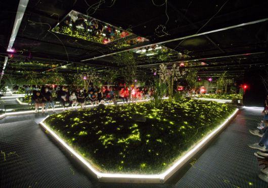 한여름 밤의 반딧불이 체험. / 에버랜드 제공