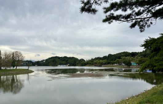 의림지. / 이장원 기자