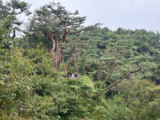 의림지 용추폭포 주변 경관. / 이장원 기자