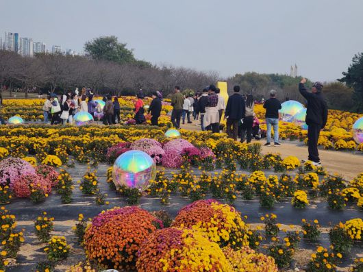 수도권매립지 내 야생화단지 전경./정순영 기자