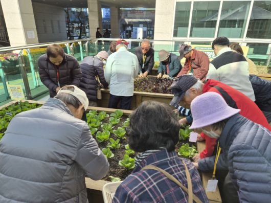 센터 앞 야외텃밭/송파구