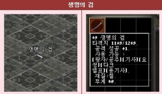 전 서버에 오직 하나뿐인 아이템 생명의 검. /커뮤니티 캡처