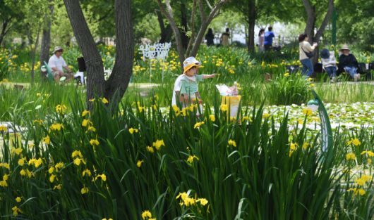 더창 창포원 전경. /거창군