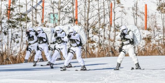 육군 특전사 장병들이 설한지 극복훈련 간 스키를 활용한 전술기동을 실시하고 있다. /육군