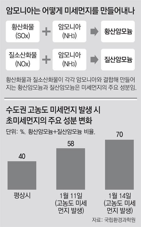 동아일보