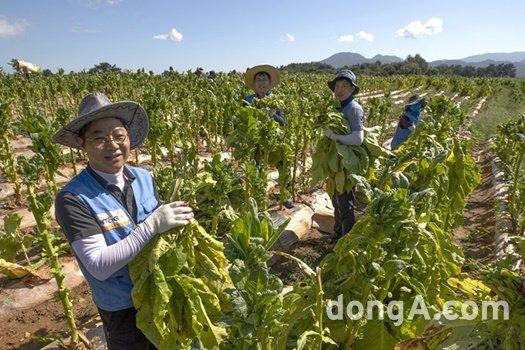 동아일보