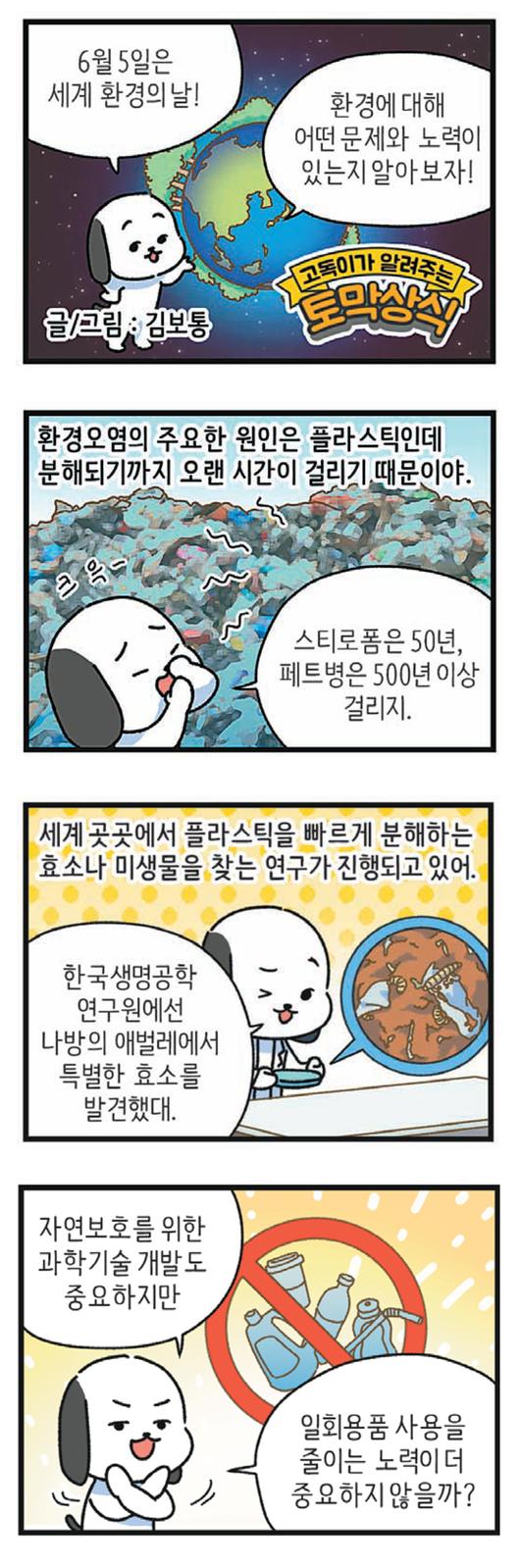 동아일보