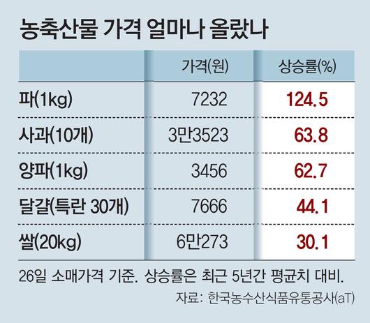 동아일보