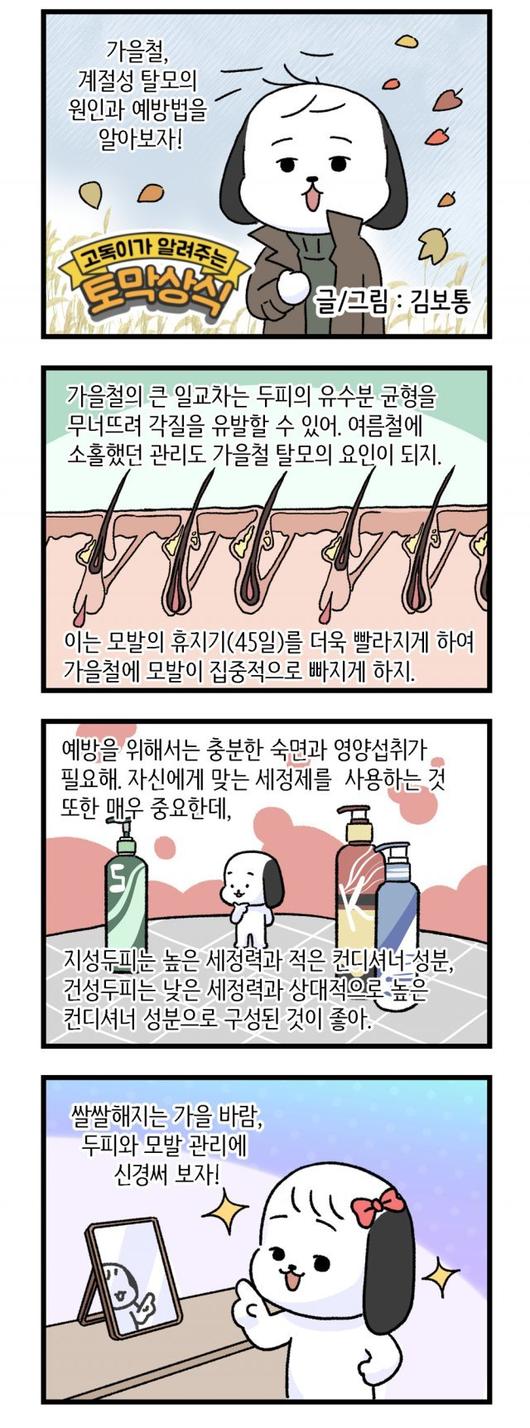 동아일보