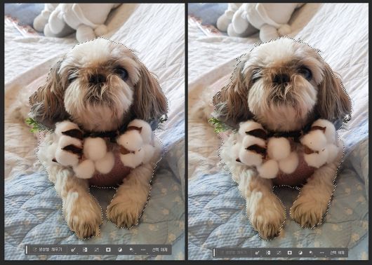 생성형 채우기에 앞서 자동으로 영역을 분리한다. 좌측은 인공지능이 인식한 피사체, 우측은 직접 수동으로 분리한 결과다. 수동으로 한 부분이 더 세밀한 것을 알 수 있다. 출처=IT동아