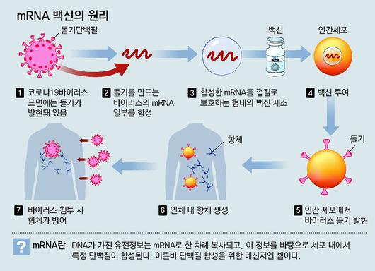 동아일보