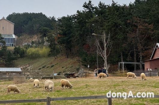 상하농원에서는 사진=윤우열 동아닷컴 기자 cloudancer@donga.com