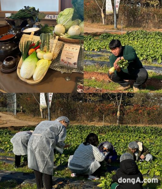 상하농원에서는 겨울철 김장체험 프로그램이 진행된다. 특히 밭에서 김장에 사용할  무를 직접 캐보는 경험도 할 수 있다. 사진=윤우열 동아닷컴 기자 cloudancer@donga.com
