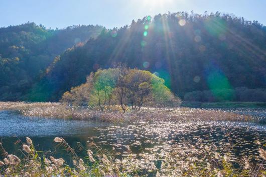 동아일보