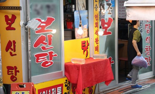 동아일보