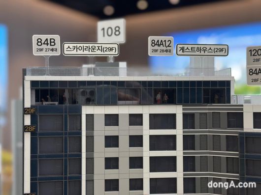 동아일보