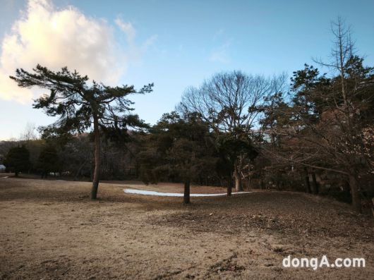 동아일보
