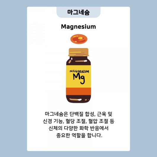 동아일보