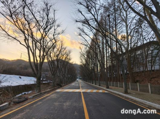 동아일보