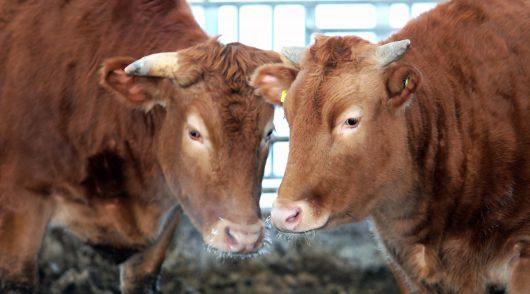 (사진은 기사 내용과 무관함) / 뉴스1