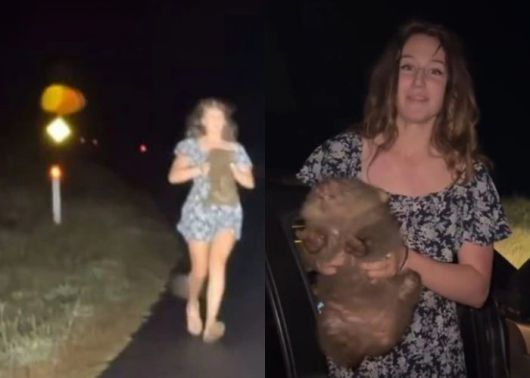 샘 존스 인스타그램