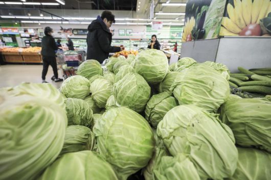 서울시내 대형마트를 찾은 시민들이 양배추를 고르고 있다. 2025.03.09. 뉴시스