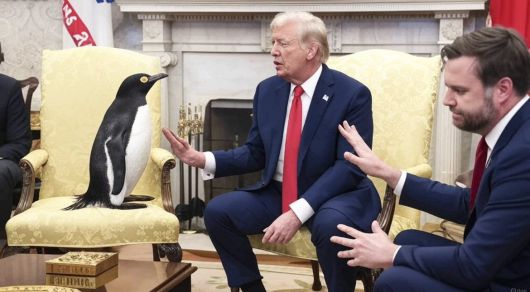 미국 백악관에서 도널드 트럼프 대통령과 J D 밴스 부통령을 만난 펭귄 밈. X(옛 트위터) 캡처 @CArzrouni