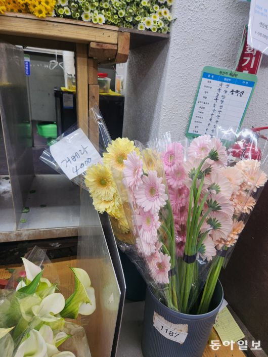 여름엔 라넌큘러스, 아네모네 같은 겨울꽃이, 겨울엔 다알리아, 리시안사스 같은 여름꽃이 비싸다. 이설 기자 snow@donga.com