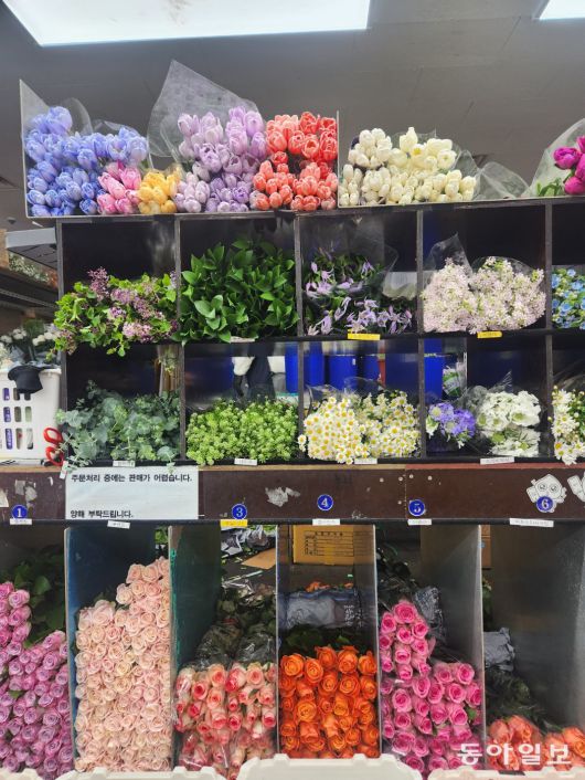 눈이 맑아지는 꽃 진열대. 칸막이마다 꽃 이름표를 붙여 놨다. 이설 기자 snow@donga.com