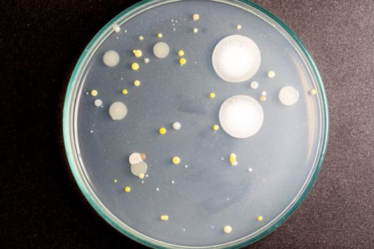 게티이미지뱅크.