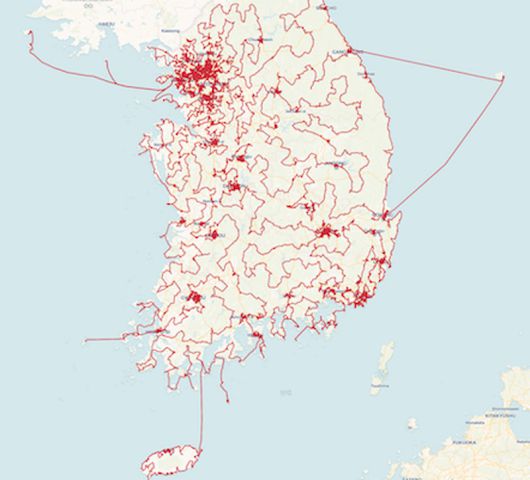 윌리엄 쿡 캐나다 워털루대 수학과 교수가 한국에 있는 모든 술집 8만1998개를 걸어서 방문하는 최단 거리를 계산했다. 사진은 쿡 교수의 연구에 따른 최단 거리 경로를 나타낸다. 윌리엄 쿡 교수 제공