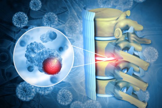 게티이미지뱅크.