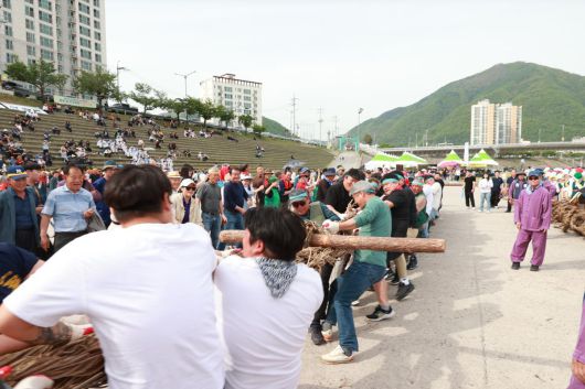 제58회 단종문화제가 25~27일 강원 영월군 일원에서 열린다. 사진은 단종문화제의 인기 프로그램 중 하나인 칡줄다리기의 지난해 모습. 영월군 제공