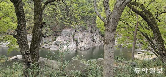 야생의 자연 같은 황강 유역 미개발 구역.