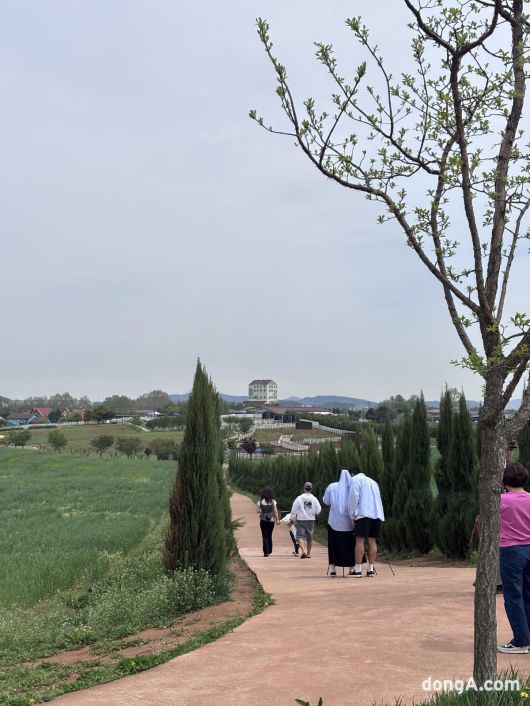 한 커플이 안성팜랜드 내 가로수길에서 웨딩촬영을 하고 있다. 황소영 기자 fangso@donga.com