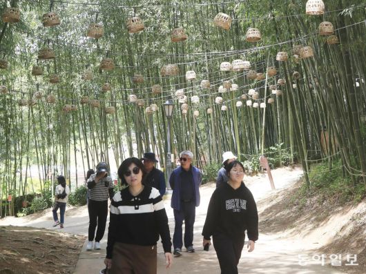 전남 담양군 담양읍 죽녹원을 찾은 관광객들이 소망등이 걸린 대숲길을 걷고 있다. 담양에서는 5월 2일부터 6일까지 대나무축제가 열린다. 동아일보DB