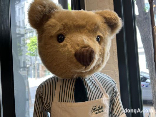 황소영 기자 fangso@donga.com