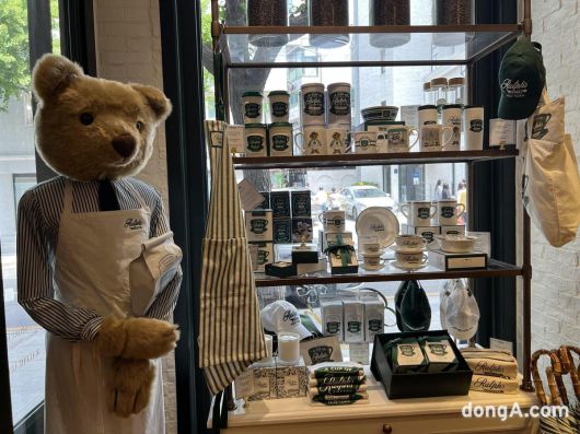 황소영 기자 fangso@donga.com