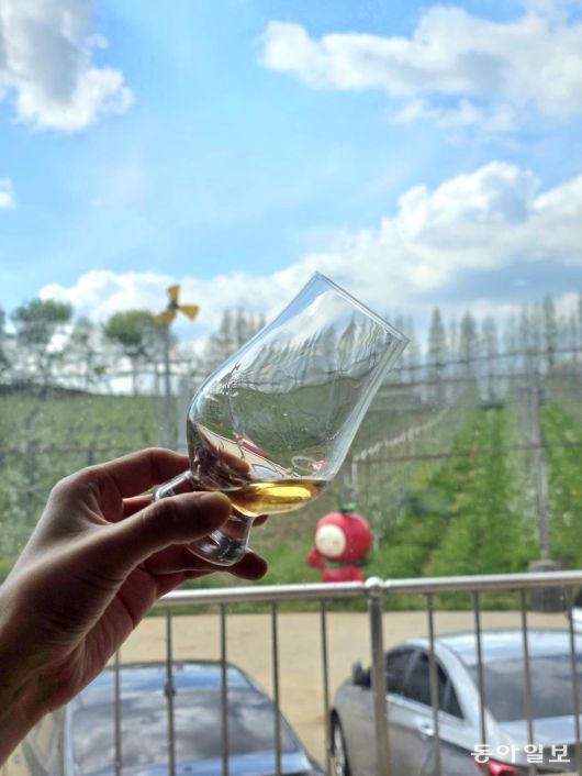 예산 은성농원 예산사과와인 양조장에서 시음할 수 있는 사과주.
