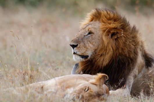 사진은 기사 내용과 직접적인 관련이 없음. 사진=게티이미지뱅크