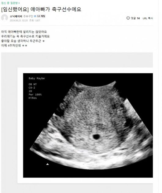 온라인 커뮤니티 캡처